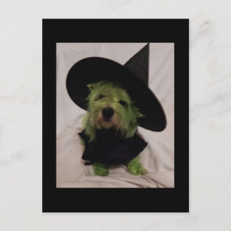 Postal Westie - Bruja malvada de los Westies