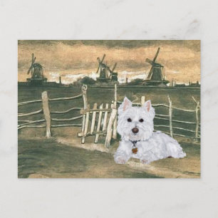 Postal Westie con molinos de viento