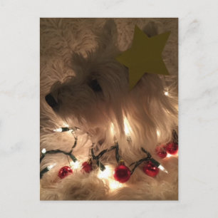 Postal Westie de luz eléctrica