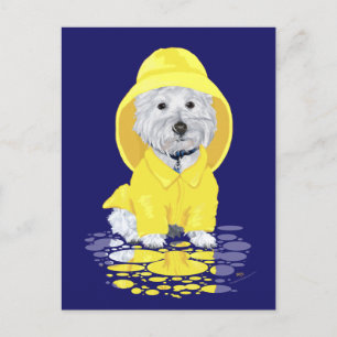 Postal Westie Dog April Showers