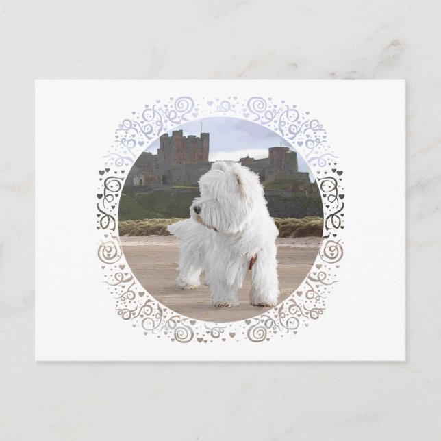 Postal Westie en el Castillo de Bamburgh (Anverso)
