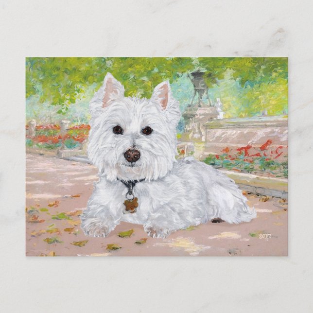 Postal Westie en el Parque (Anverso)