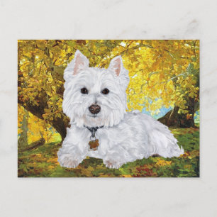 Postal Westie en Golden Woods