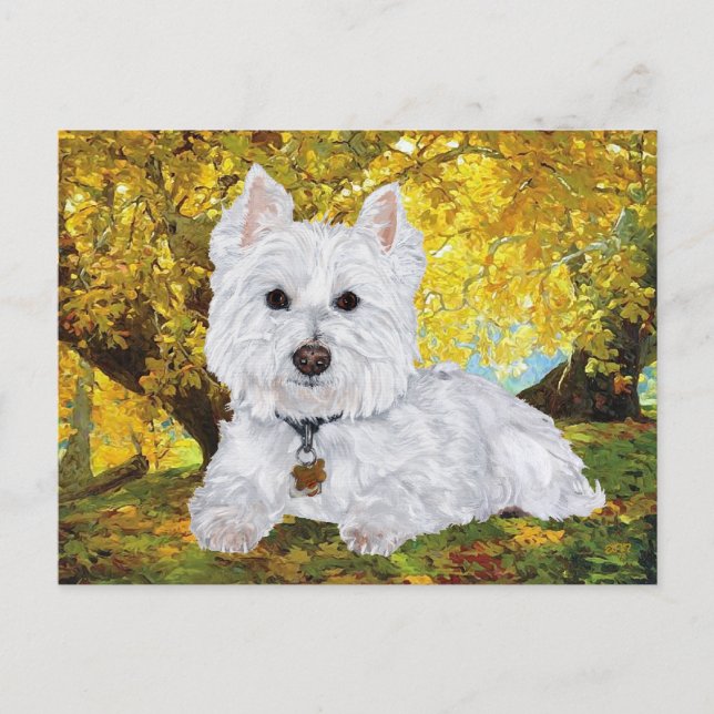 Postal Westie en Golden Woods (Anverso)