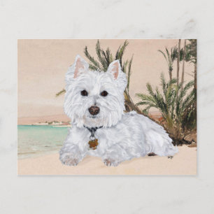 Postal Westie en la Playa