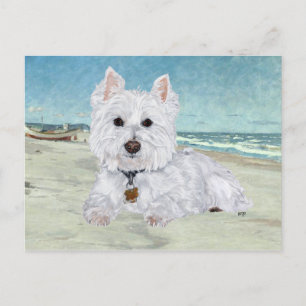 Postal Westie en la Playa