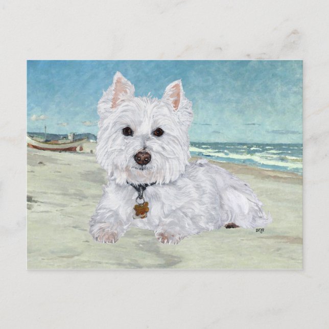 Postal Westie en la Playa (Anverso)