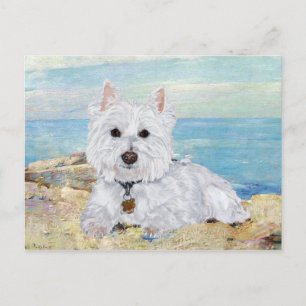 Postal Westie en la Playa