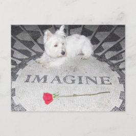 Postal Westie Imagines World Peace