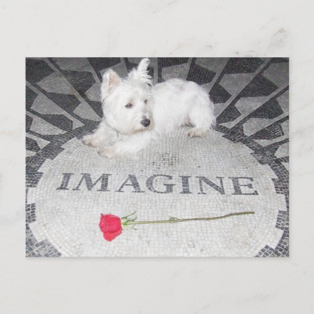 Postal Westie Imagines World Peace (Anverso)