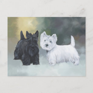 Postal Westie Scottie Invierno