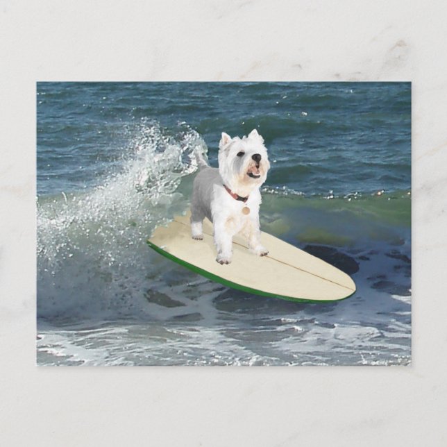 Postal Westie Surfista (Anverso)