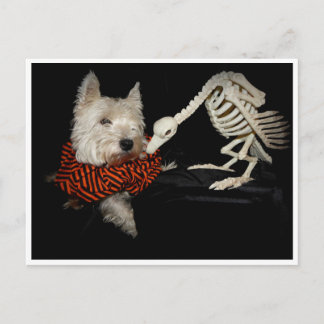 Postal Westie Vulture Skeleton Halloween