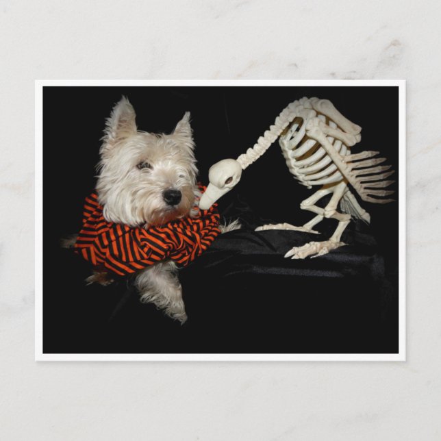 Postal Westie Vulture Skeleton Halloween (Anverso)
