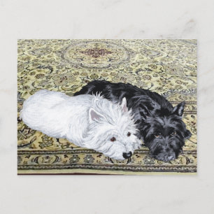Postal Westie y Scottie relajados