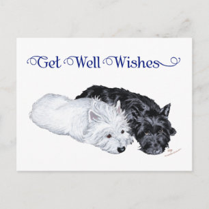 Postal Westie y Scottie relajados