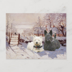 Postal Westie y Scottie Urraca de Invierno