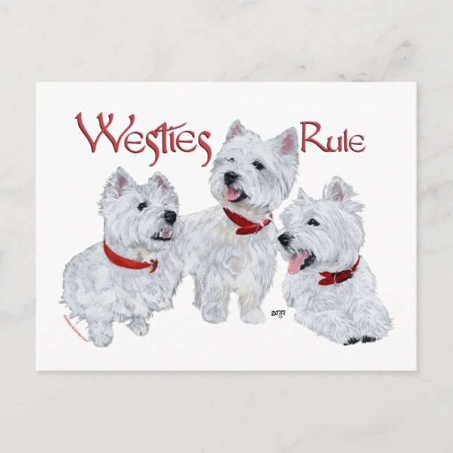 Postal ¡Westies mandan! (Anverso)