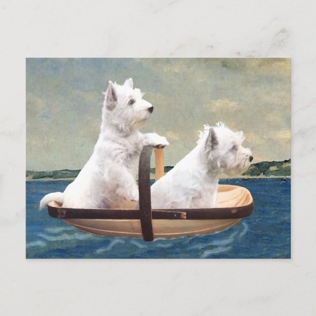 Postal Westies se hacen a la mar (Anverso)
