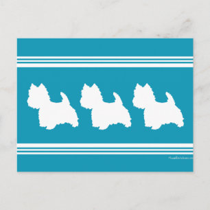 Postal Westies turquesa