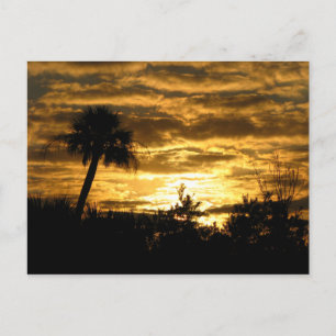 Postal Wetlands Morning II