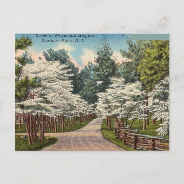 Postal Weymouth Heights, Pinas del Sur, Carolina del Nort (Anverso)