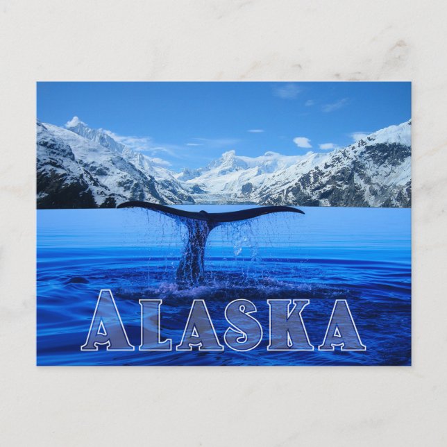 Postal Whale Tail Alaska - Postcard (Anverso)