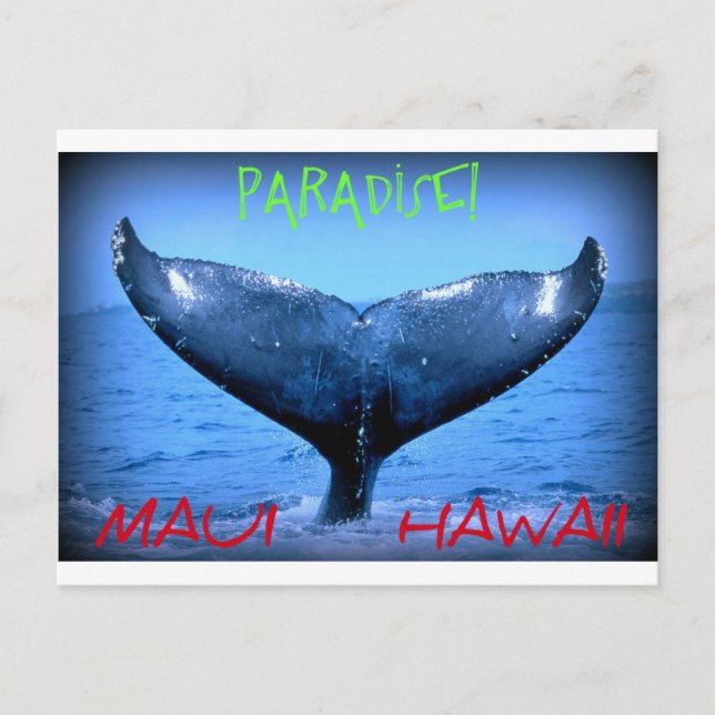 POSTAL WHALE TAIL MAUI PARADISE HAWAII (Anverso)