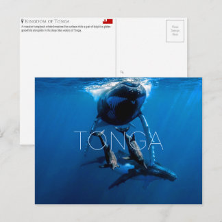 Postal Whale watching, Tonga Travel Postcard