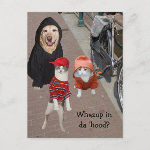 Postal ¿Whazup en la capucha?
