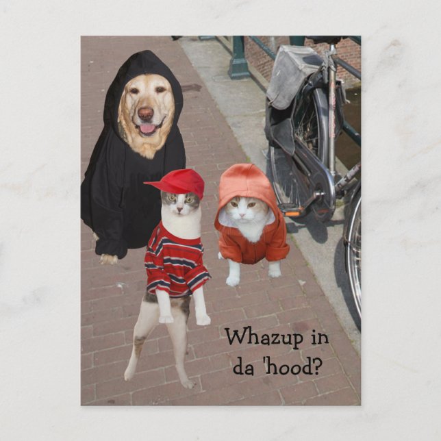 Postal ¿Whazup en la capucha? (Anverso)