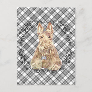 Postal Wheaten Scottie Tartan