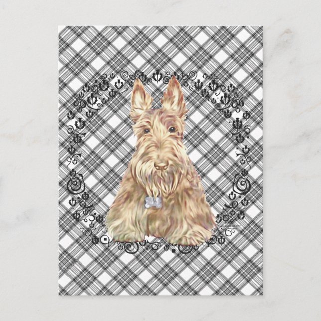 Postal Wheaten Scottie Tartan (Anverso)