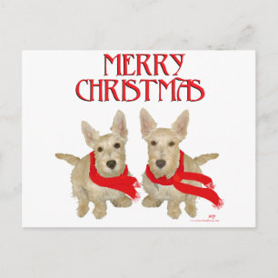 Postal Wheaten Scottish Terrier Navidad