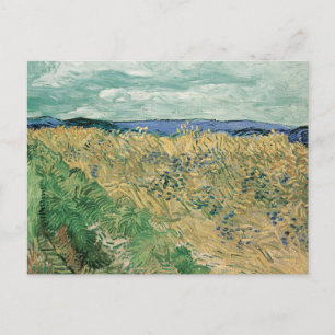 Postal Wheatfield con Cornflowers   Vincent van Gogh