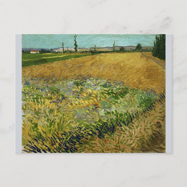 Postal Wheatfield por Vincent Van Gogh (Anverso)