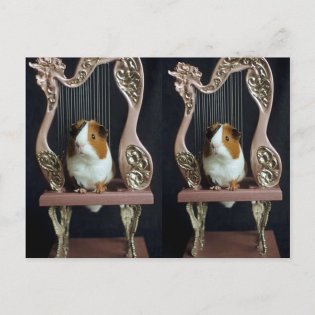 Postal Whimsical Guinea Pig Harp Postcard – Elegant Story (Anverso)