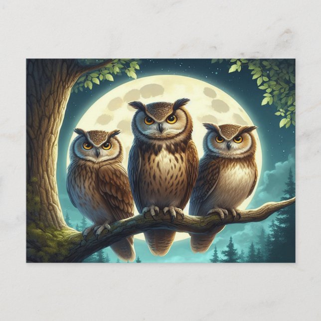 Postal Whimsical Owl Trio (Anverso)