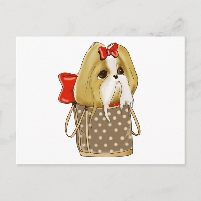 Postal whimsical SHIH TZU DOG (Anverso)
