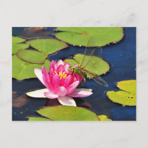 Postal 'Whimsy'