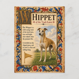 Postal Whippet, Arte de Bestiario Medieval