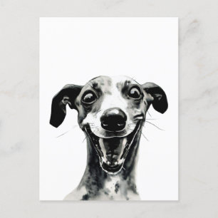 Postal Whippet blanco y negro   Grasa