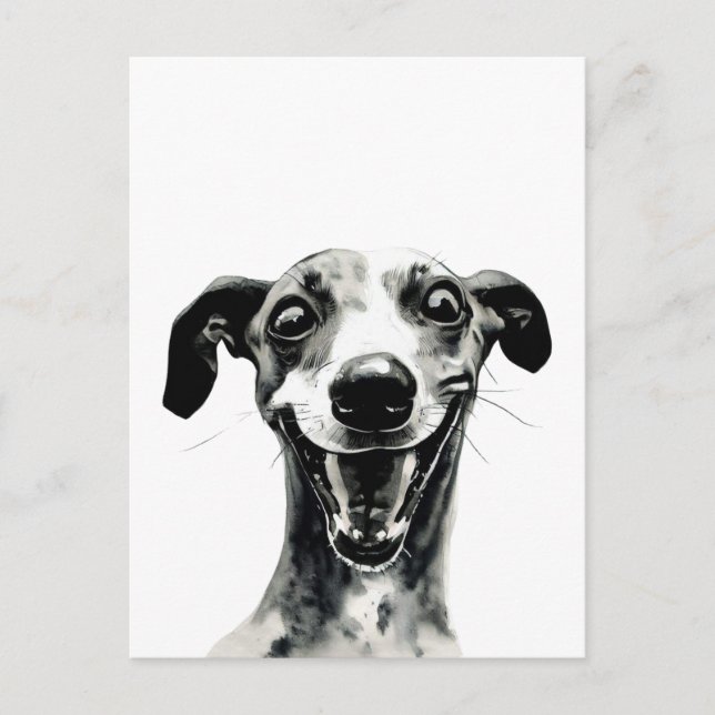 Postal Whippet blanco y negro | Grasa (Anverso)