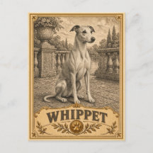 Whippet, perro vintage de herencia