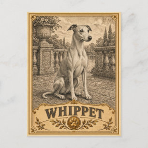 Postal Whippet, perro vintage de herencia