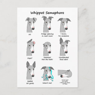 Postal Whippet Semaphore