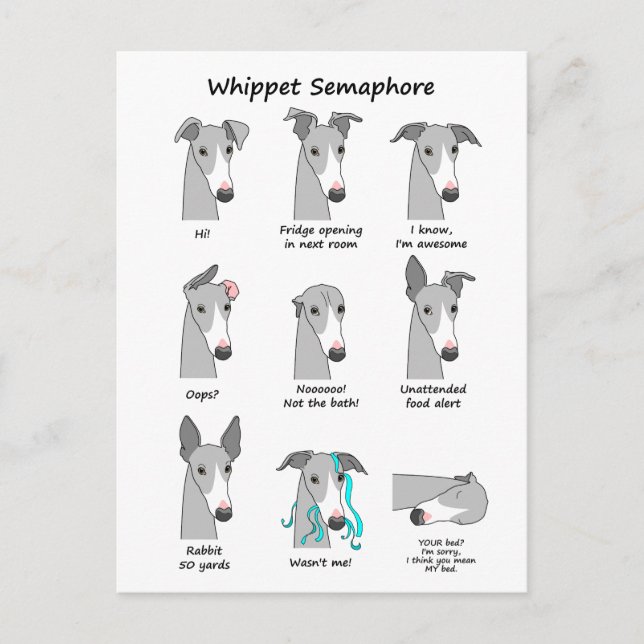 Postal Whippet Semaphore (Anverso)