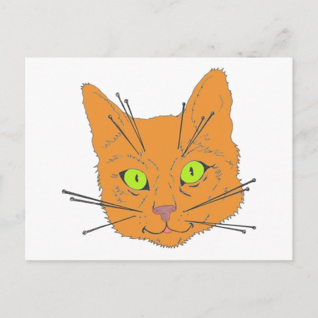 Postal Whiskers del gato (Anverso)