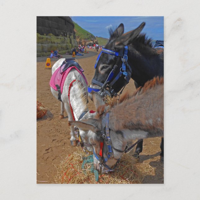 Postal Whitby Donkeys (Anverso)