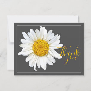 Postal White Daisy Yellow Center Gray Backdrop Gracias
